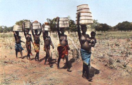 Burkina Faso, vrouwen terug van de millet-oogst 